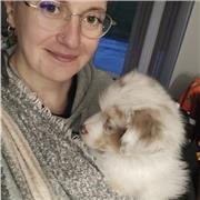 Aide aux devoirs pour élèves de primaire : toutes matières confondues collège/lycée : principalement en maths et anglais